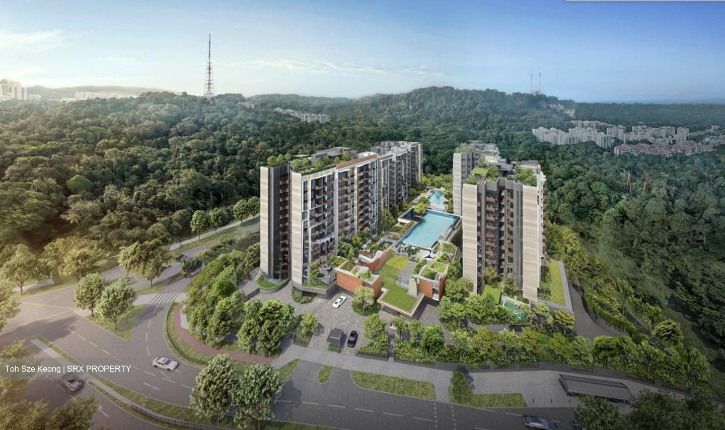 Jalan Jurong Kechil (D21), Condominium #498706341